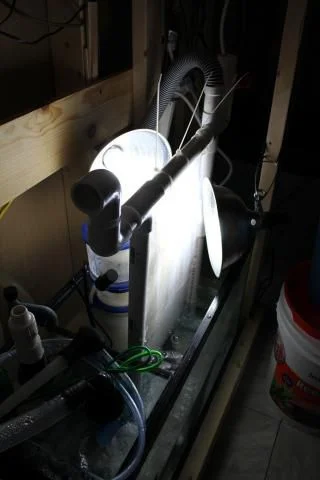 Algae Scrubber Setup.jpg