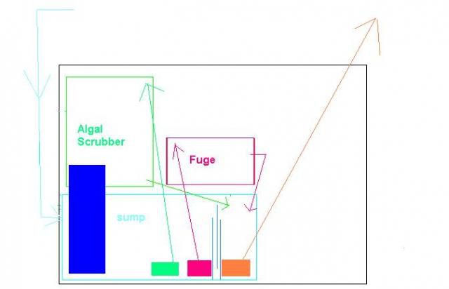 new stand sump fuge scrubber layout.jpg