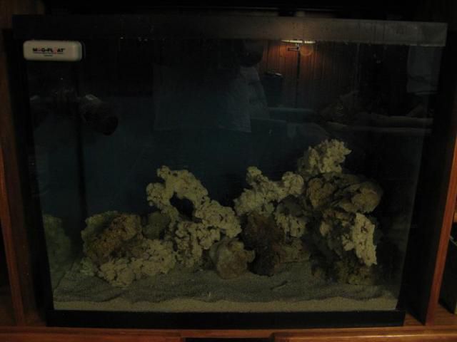 reef tank 015sm.jpg