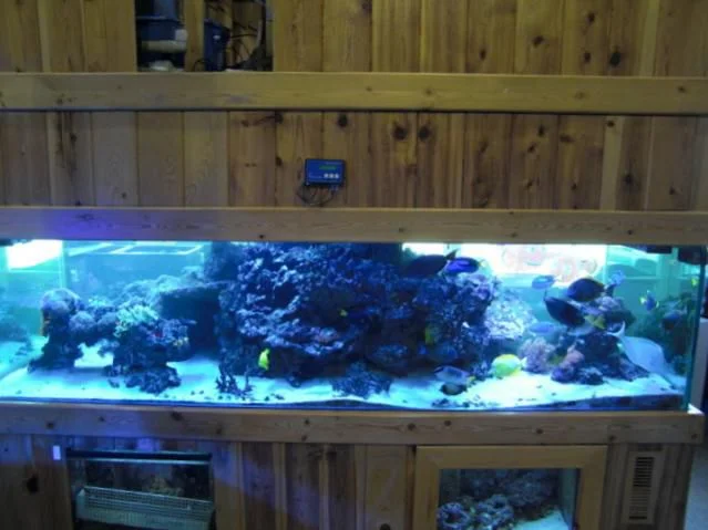 store reef 020.jpg