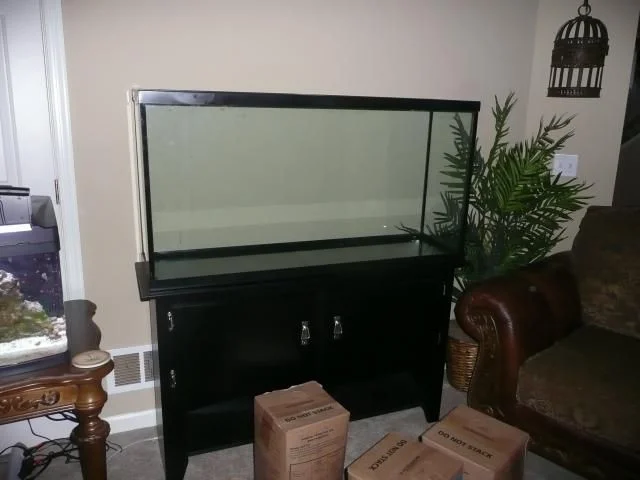 tank set up 003.jpg