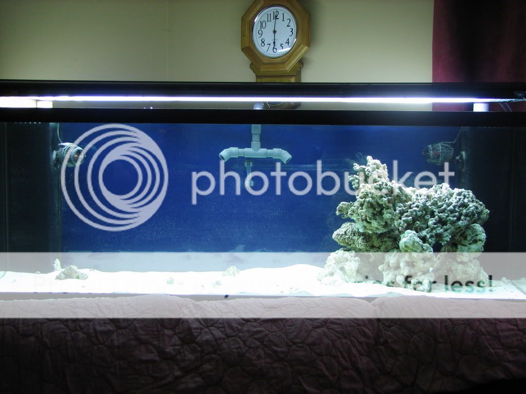 aquascaping009.jpg